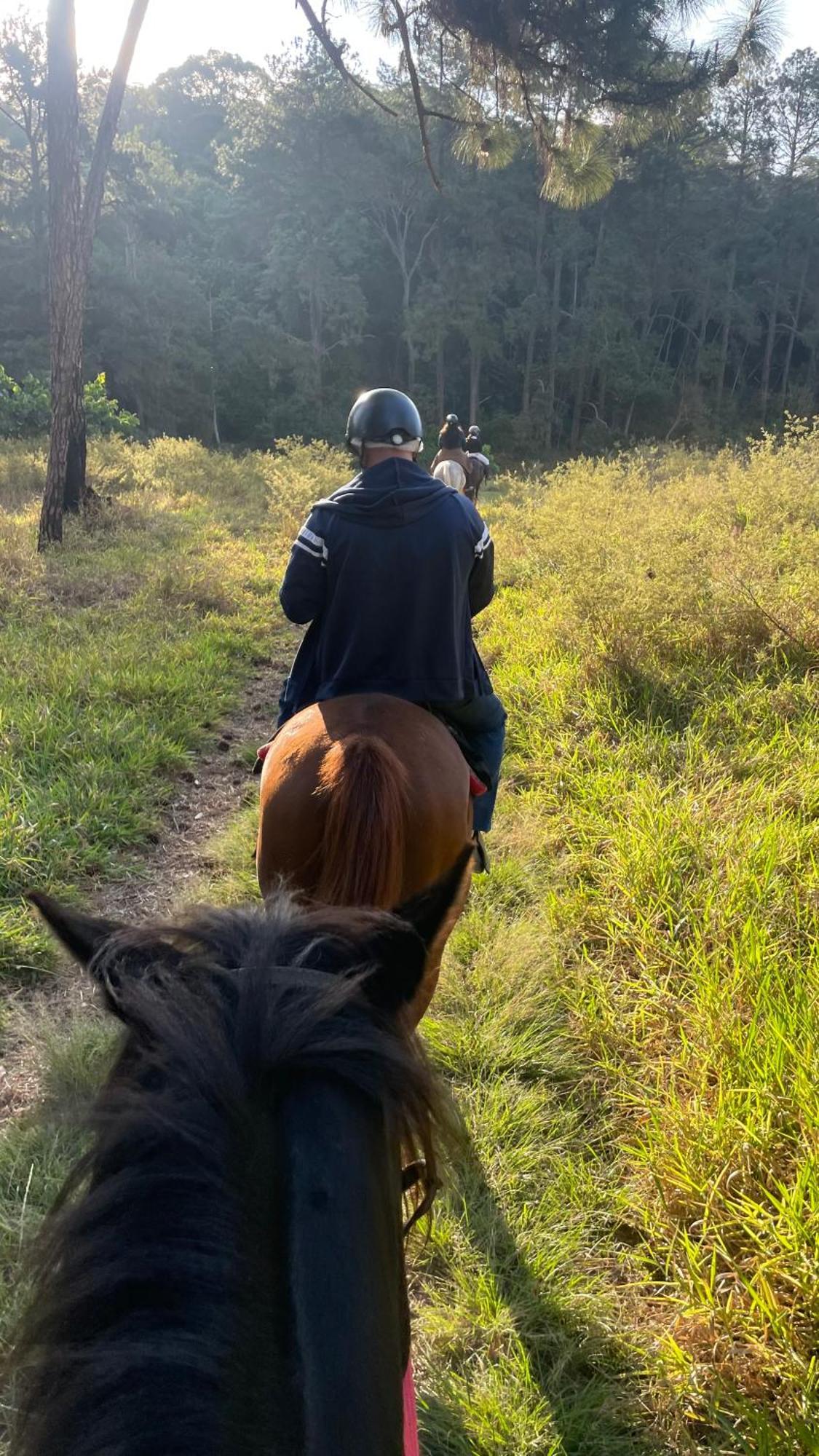 Rancho Cavalomania Panzió São Roque Kültér fotó